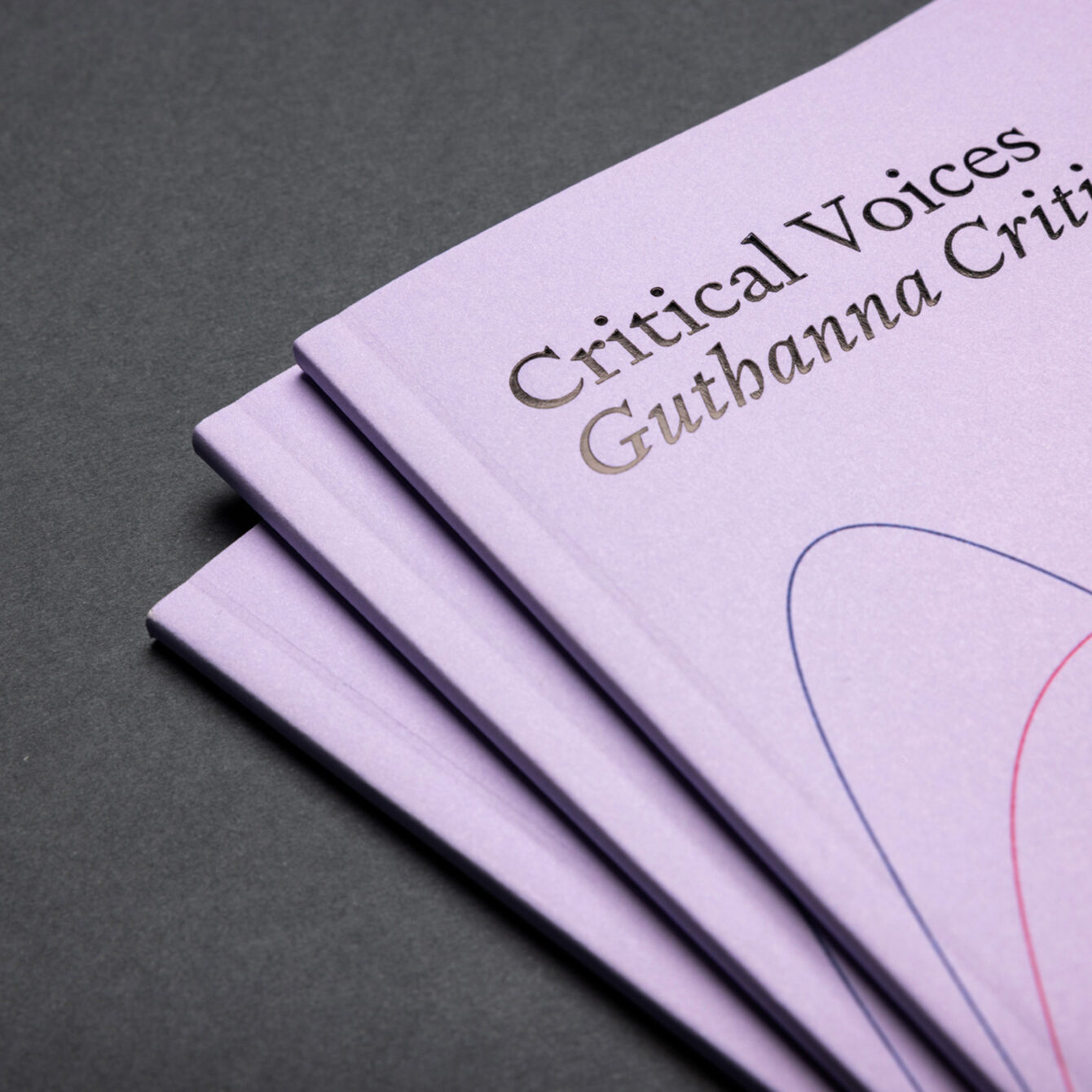CI Critical Voices 2