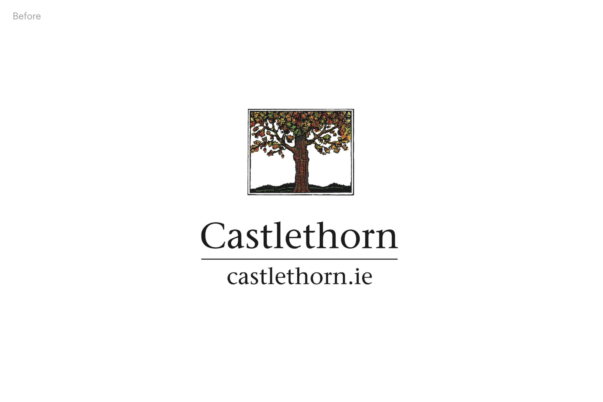 Ci Studio Castlethorn 08