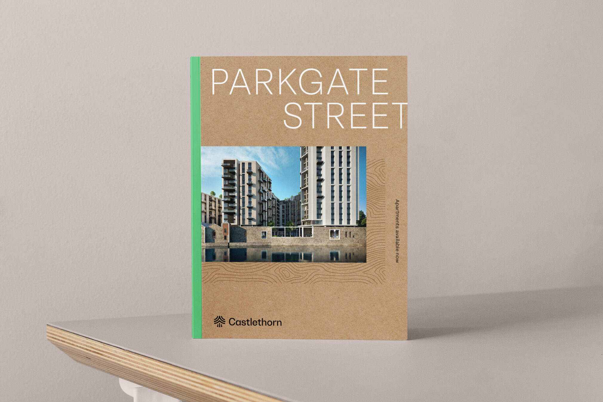 CI Studio Castlethorn Book cover