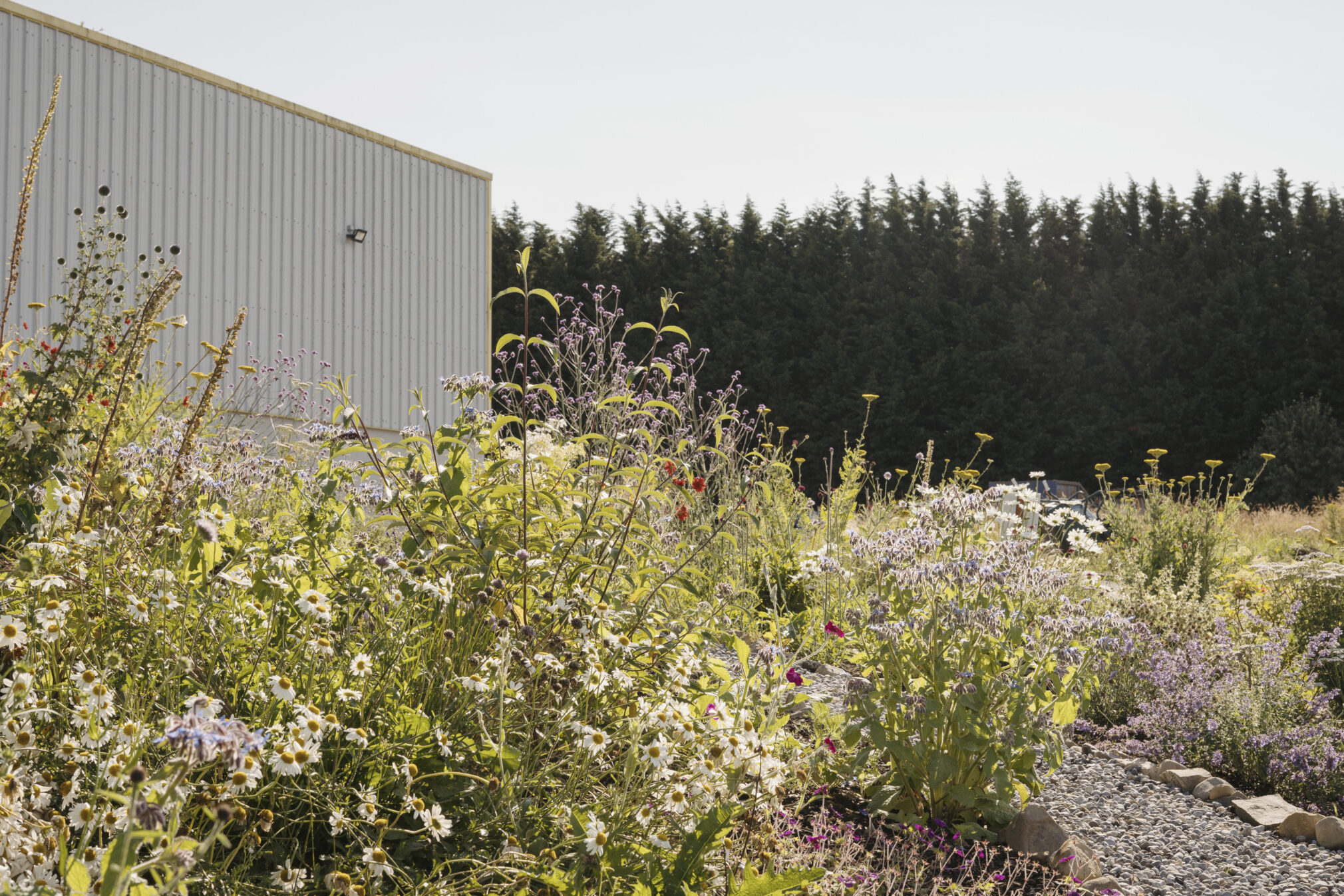 Fleetwood factory exterior 1